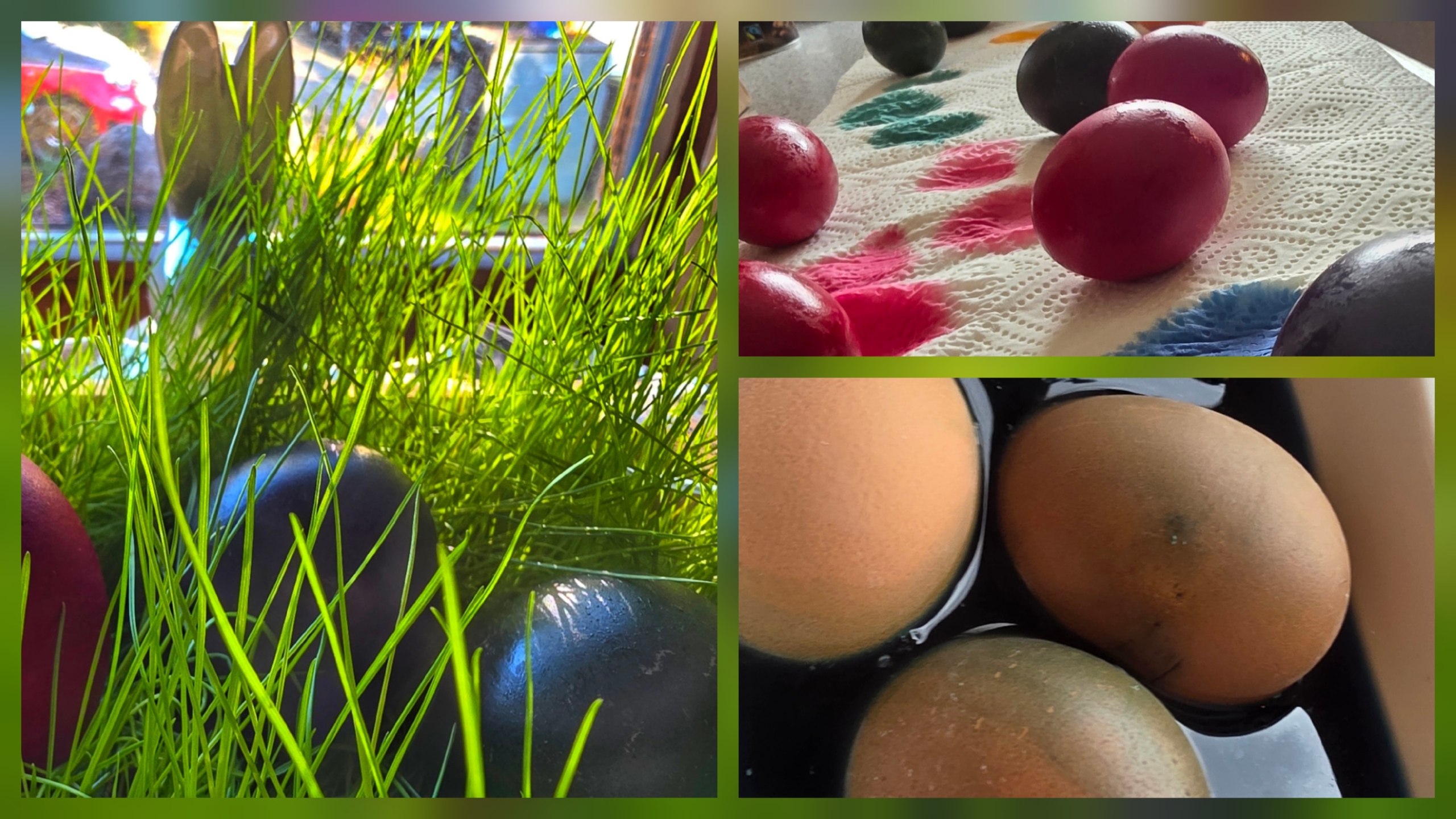 Ostern, zehn Eier – und ein Moment fürs Herz